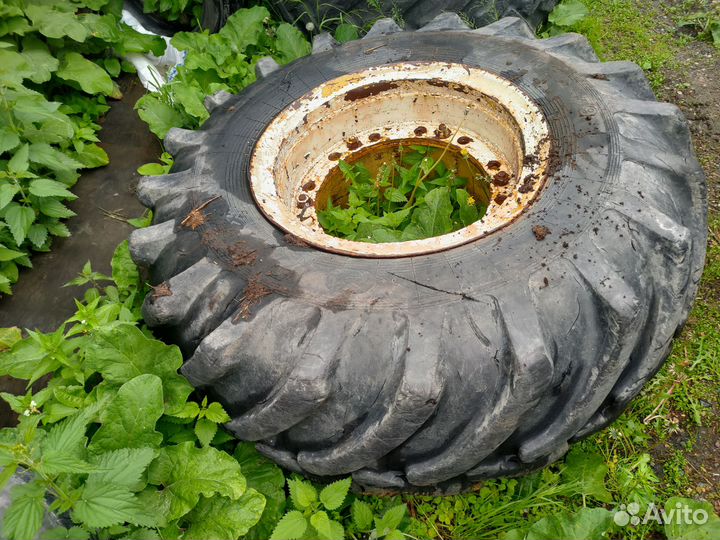 Продам колеса фронтального погрузчика