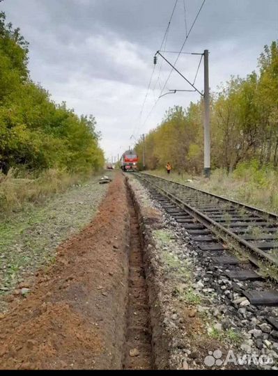 Московская область