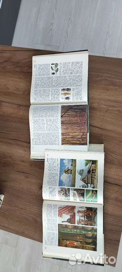 Лесная энциклопедия 2 тома