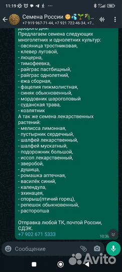 Семена многолетних и однолетних трав