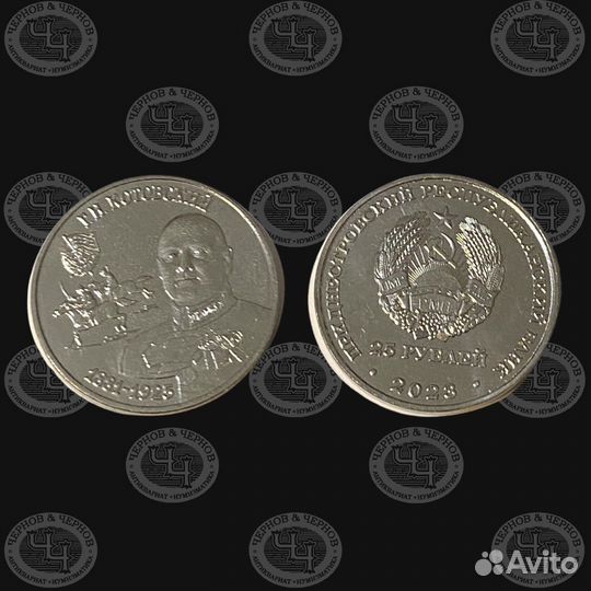 Приднестровье 25 рублей 2023 год Котовский