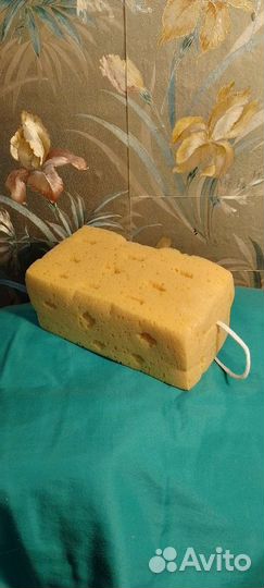 Губка абсорбирующая коралловая