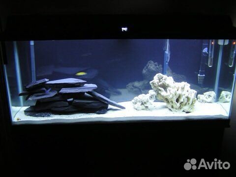 Черный сланец для аквариума