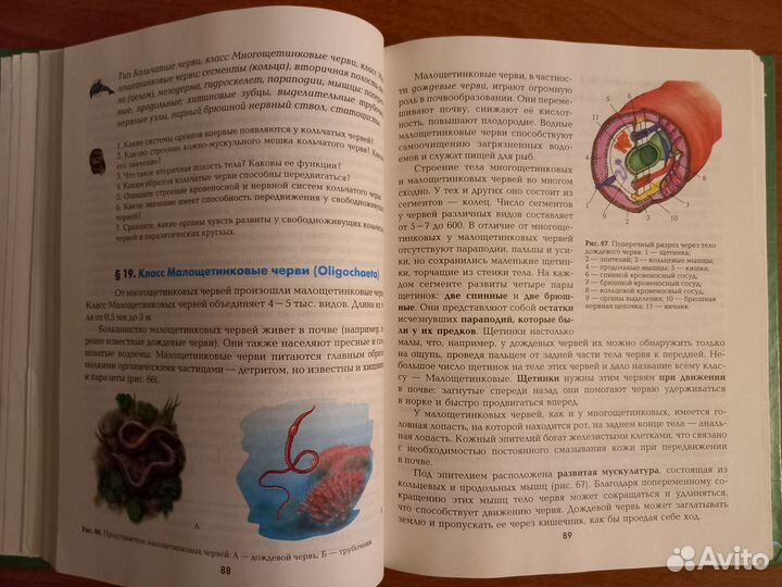 Учебник Биология 7 класс Животные Константинов