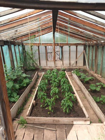 Дом 79,6 м² на участке 11 сот.