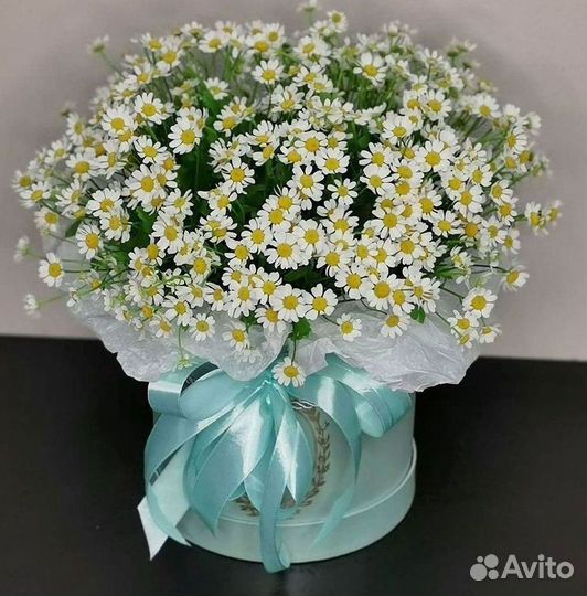Букеты. Доставка ромашек