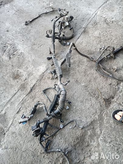 Проводка двигателя Toyota Land Cruiser 200 4.5TD