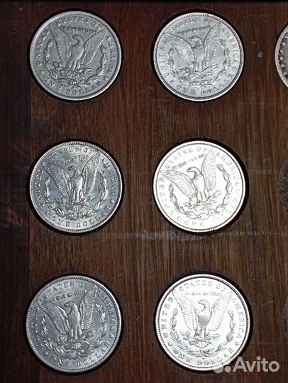 Доллар - Мирный, Морган