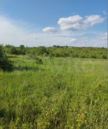 Участок 6 сот. (СНТ, ДНП)