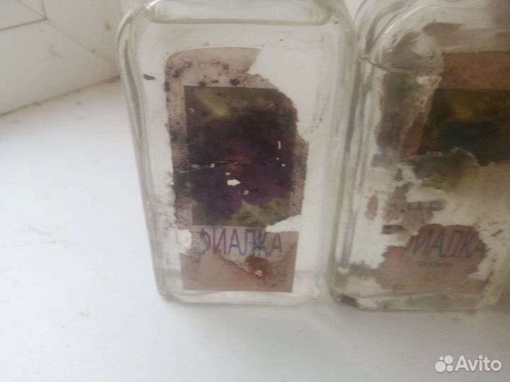 Лосьен Фиалка