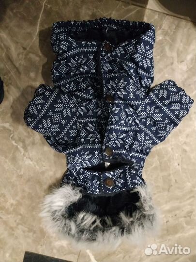 Продаю верхнюю одежду на маленькую собачку