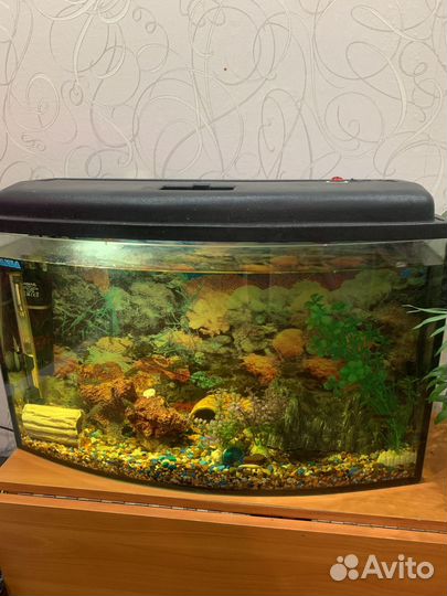 Аквариум