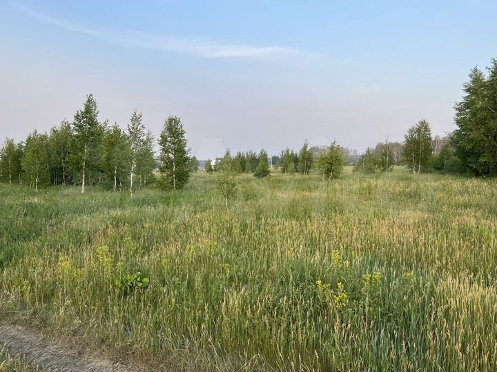 Участок 12 сот. (СНТ, ДНП)