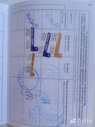 Девочка лайки