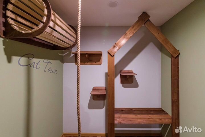 Зоогостиница для кошек