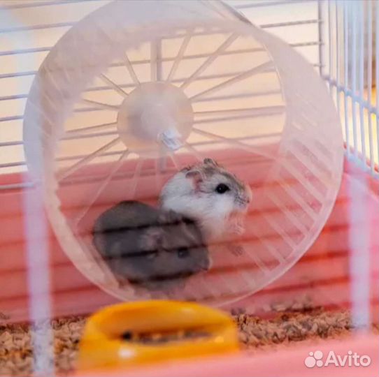 Клетка для хомяков Criceti 9 Princess розовая