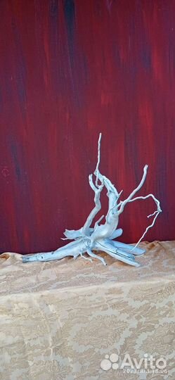 Коряги, корни