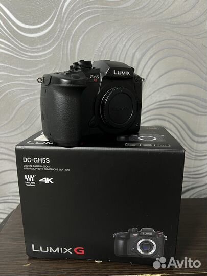 Беезеркальная камера Panasonic Lumix GH5S