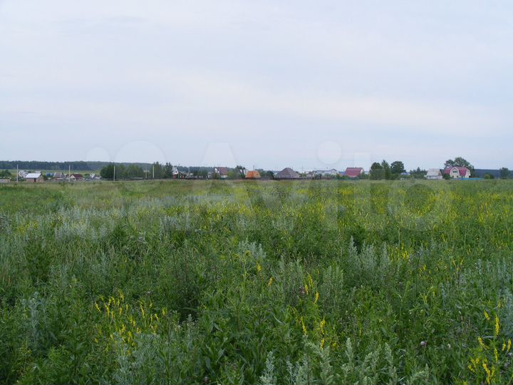 Участок 22 га (СНТ, ДНП)