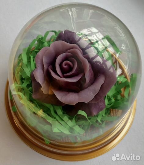 Мыльная роза в куполе