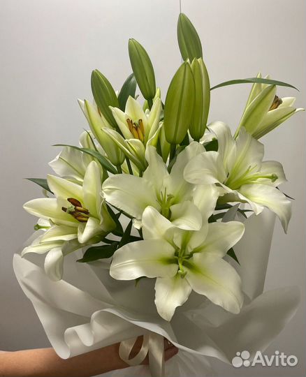 Цветы Лилии