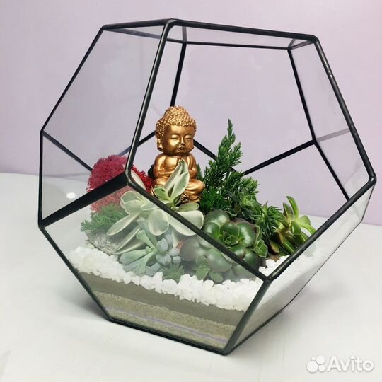 Флорариум с живыми растениями