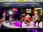Поездка в цирк г. Н.Новгород 20.02 на шоу Гии Эрад