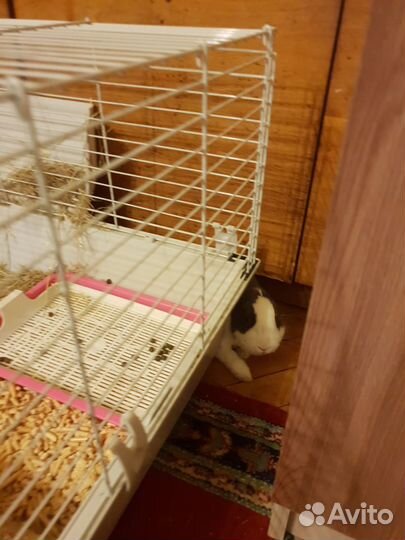 Клетка для кролика большая