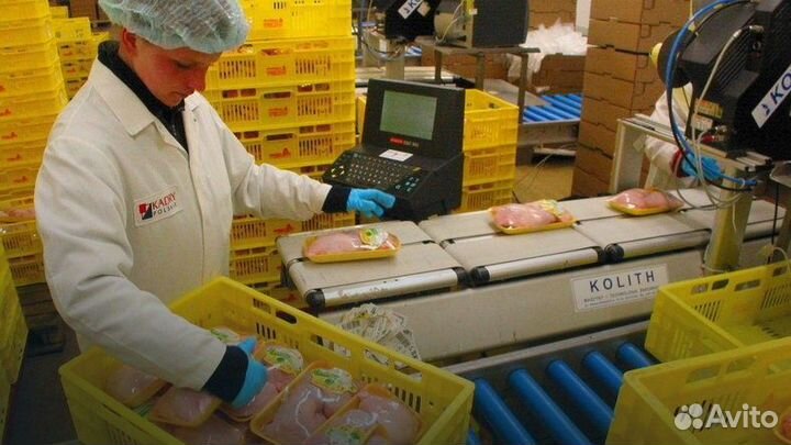 Упаковщик на фабрику.Лучшая Вахта в Челябинске