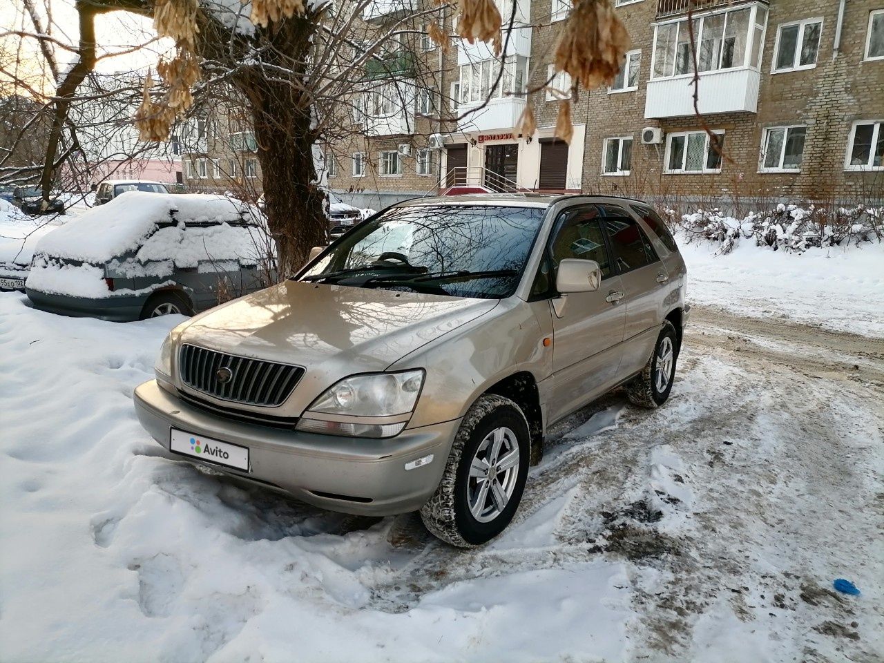 Toyota Harrier: фото владельца