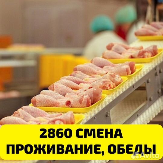 Выезд из Оренбурга, вахта Пенза, упаковщик