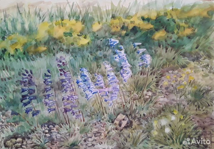 Акварель цветы