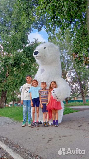 Поздравления от белого мишки