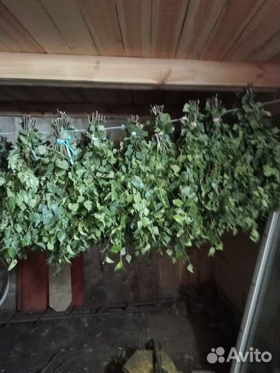 Березовые веники