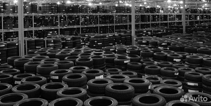 Nexen Winguard Ice Plus 215/60 R16 99T