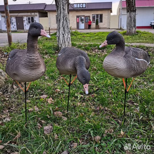 Чучела серого гуся Soft Plast Alfa