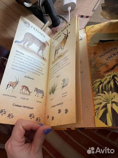 Книга со звуками