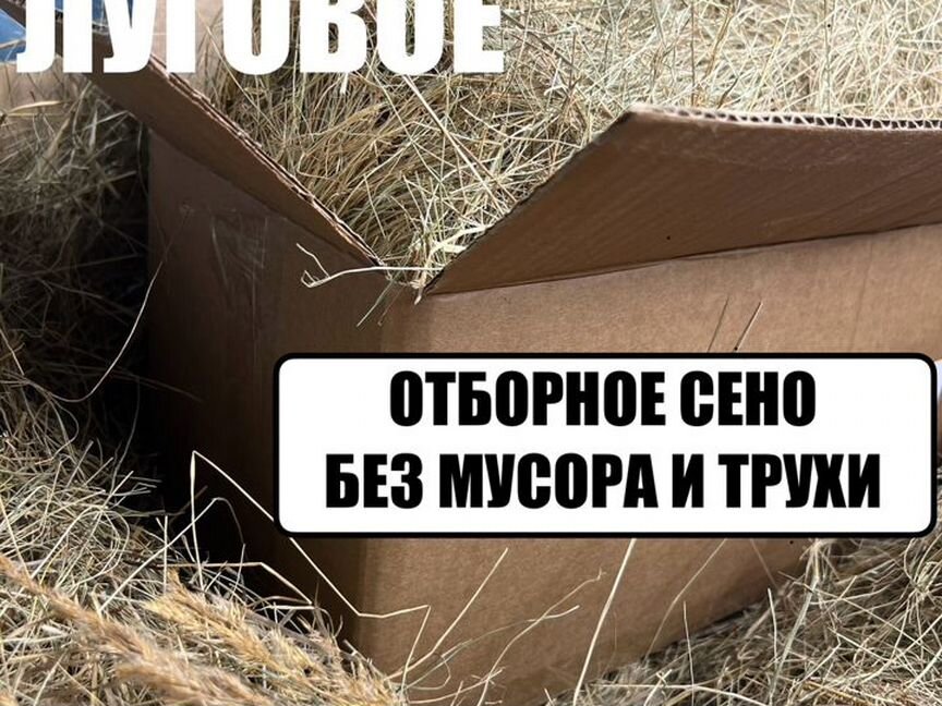 Сено луговое, сено для грызунов