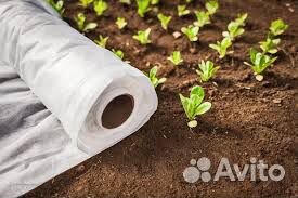 Укрывной материал Спанбонд белый