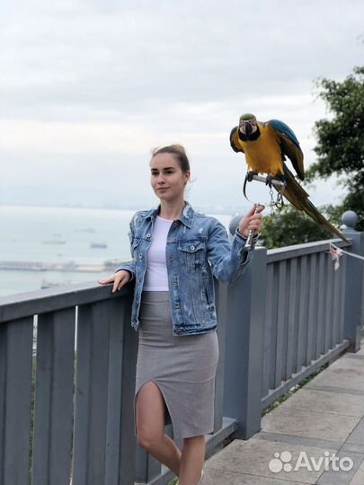 Трикотажная юбка Zara