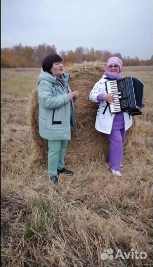 Музыкант на праздник татарские песни