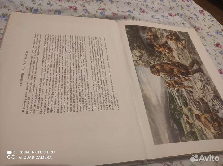 Жизнь древнего человека. Йозеф Аугуста