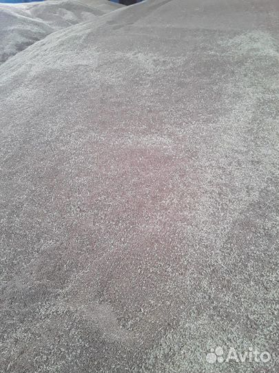 Пшеница 5 класс