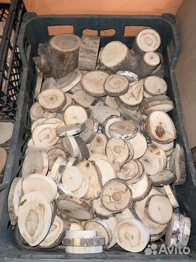 Спилы дерева