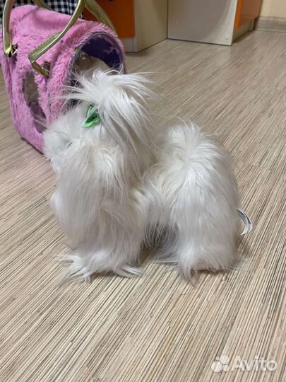 Мягкая игрушка собачка в сумочке