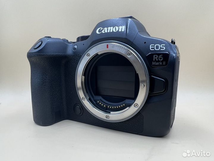 Canon eos r6 mark ii body