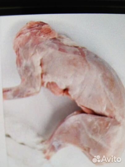 Тушка кролика