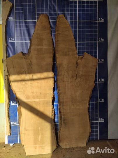 Слэбы из дерева слэб карагач слеб дуба спил орех