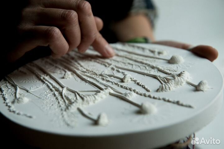 Ботанический барельеф