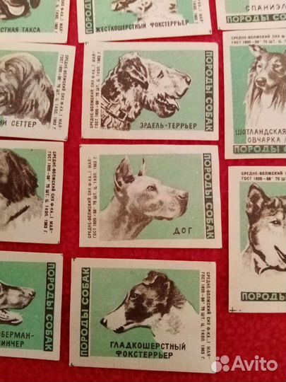 Породы собак. Спичечные этикетки